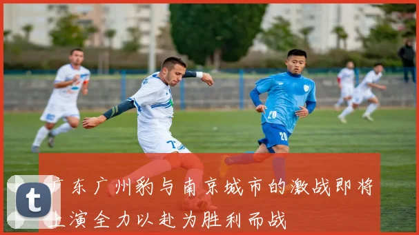 广东广州豹与南京城市的激战即将上演全力以赴为胜利而战