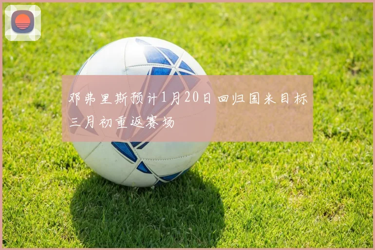 邓弗里斯预计1月20日回归国米目标三月初重返赛场