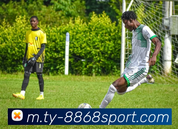 8868体育发展历程